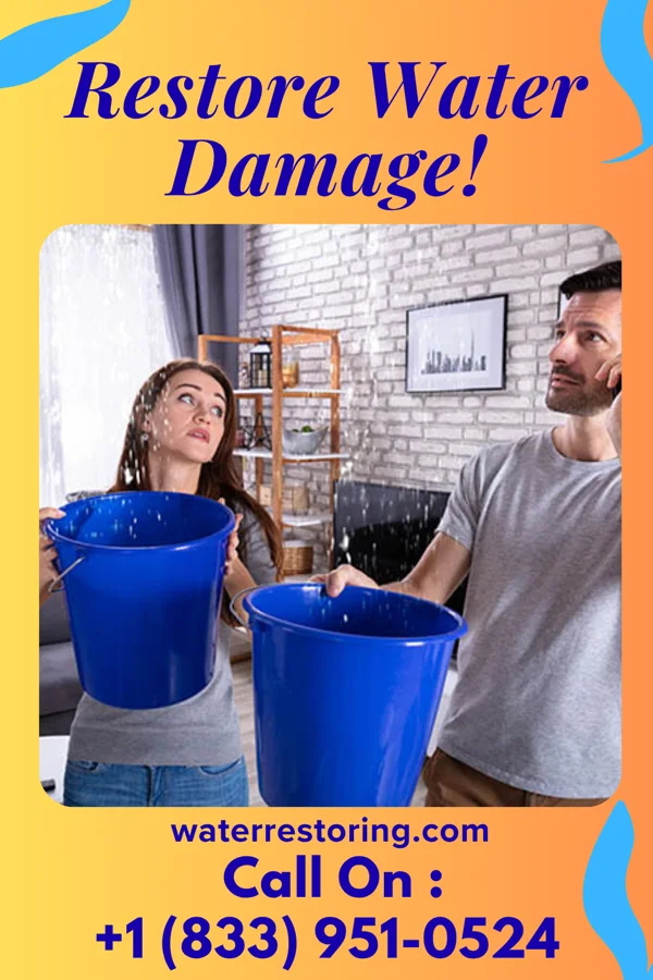 water restoration Best Flood Mitigation Specialists St. Helena