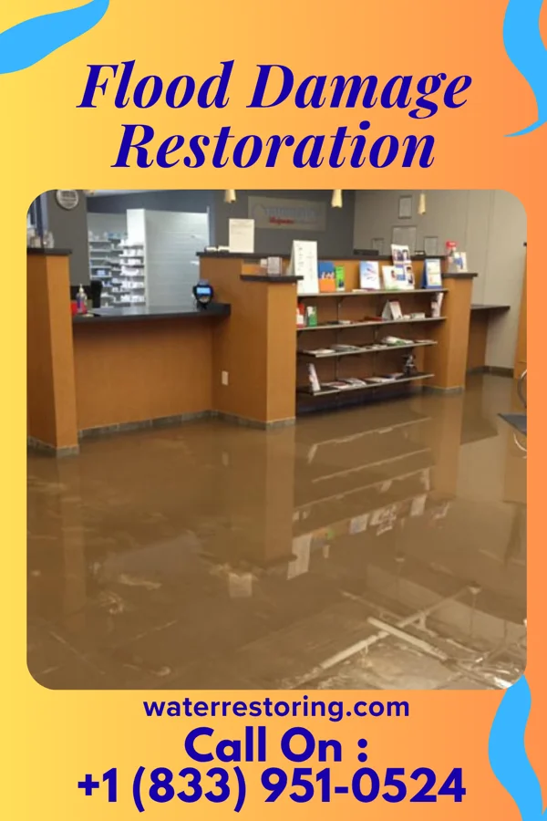 Flood Damage Restoration in St. Helena, NC