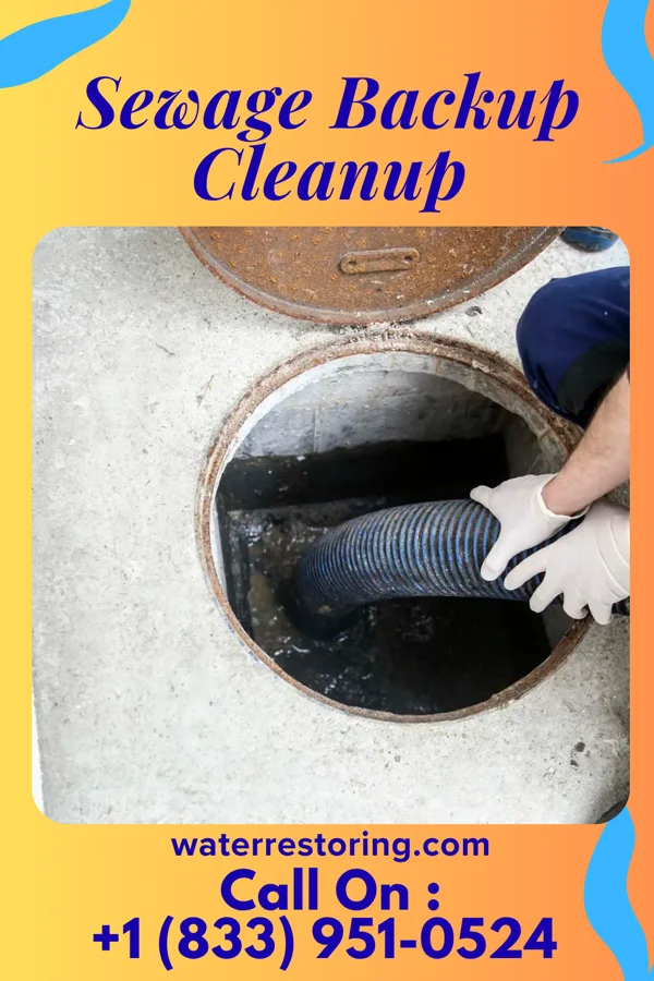 Sewage Backup Cleanup in St. Helena, NC
